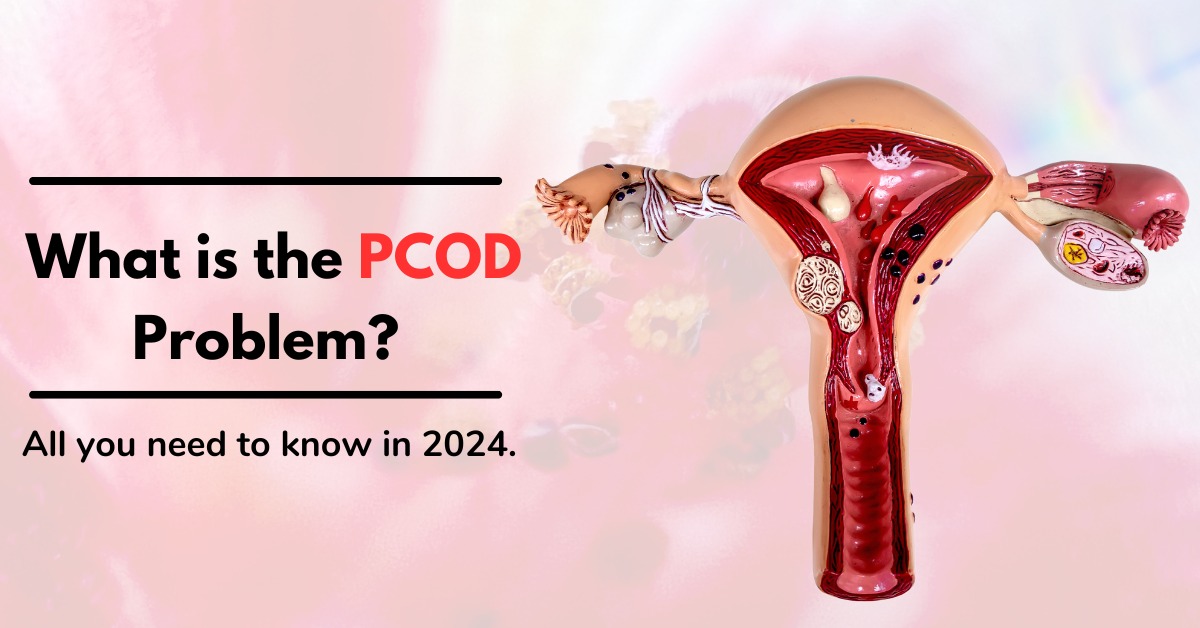  What is the PCOD problem? All you need to know in 2024.