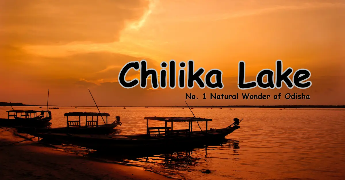  Chilika Lake: No. 1 Natural Wonder of Odisha