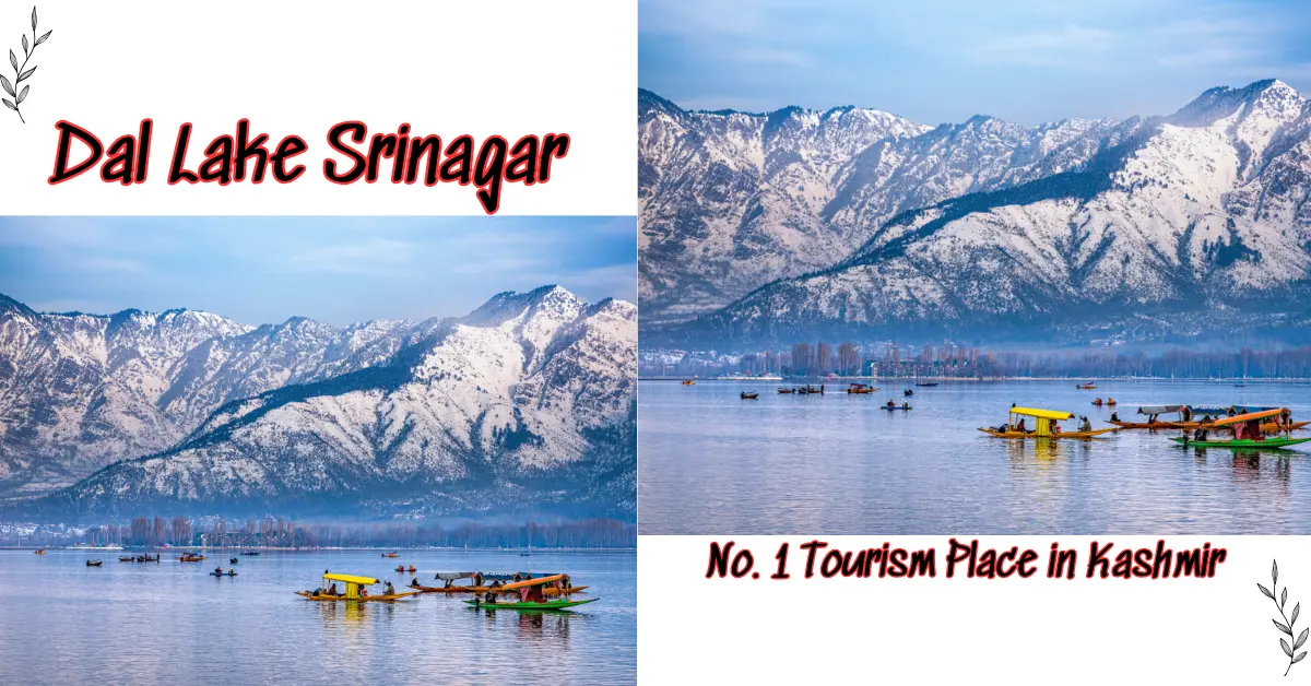  Dal Lake Srinagar – No. 1 Tourism Place in Kashmir