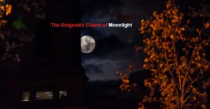 The moon is beautiful isn't it