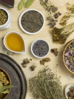 6 Wellhealth Ayurvedic Health Tips for Prevention and Wellness