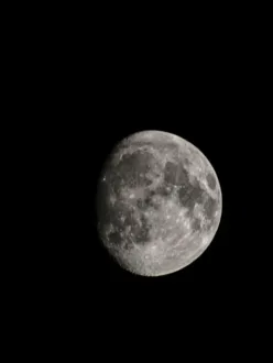 The Poetic Whispers of “The Moon is Beautiful Isn’t It?” – 2024