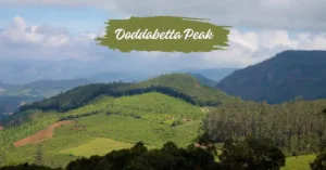 places to visit in ooty