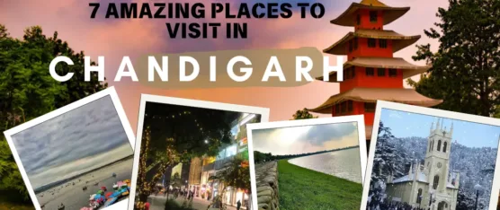 places to visit in chandigarh