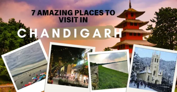 7 Amazing Places to visit in Chandigarh: A Comprehensive Guide