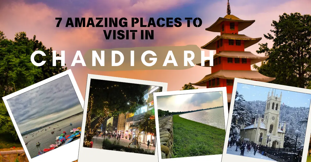  7 Amazing Places to visit in Chandigarh: A Comprehensive Guide