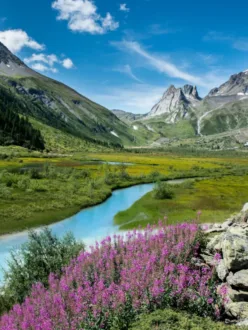 7 Amazing Places to Visit in Dehradun