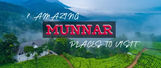 munnar places to visit