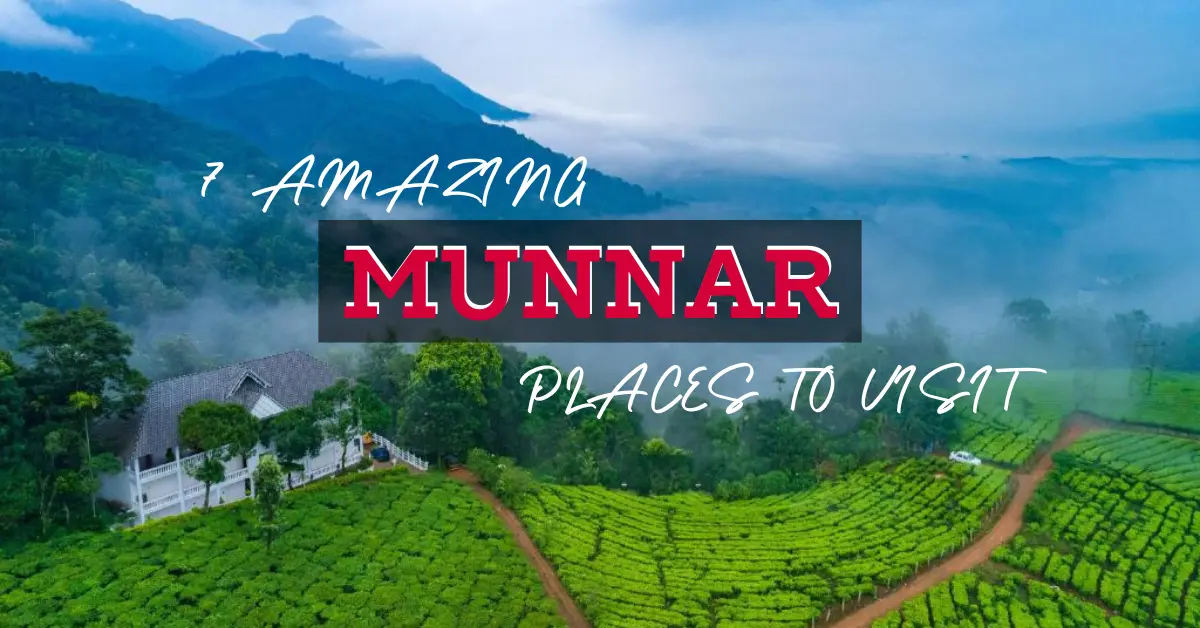  7 Amazing Munnar Places To Visit