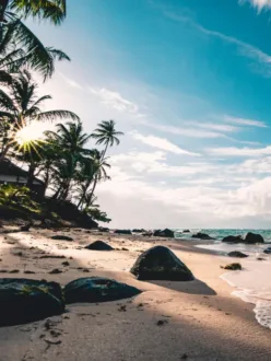 7 Places to Visit in Goa with Family