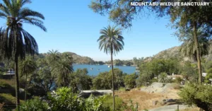 mount abu places to visit