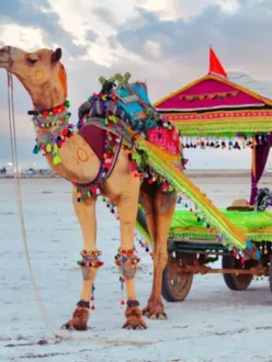 7 Must Places to Visit in Gujarat- The Vibrant State