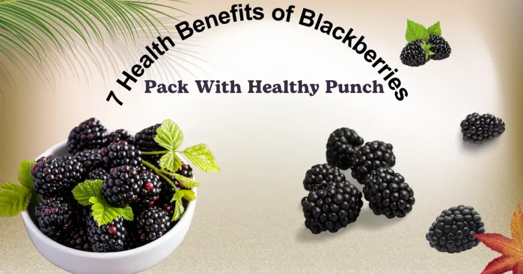 7 Health Benefits of Blackberries – Pack With Healthy Punch