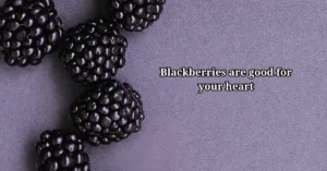 Health Benefits of Blackberries