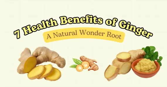 7 Health Benefits of Ginger: A Natural Wonder Root