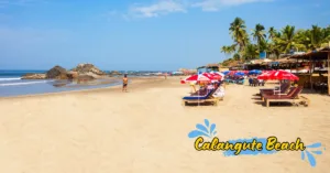 best places to visit in goa