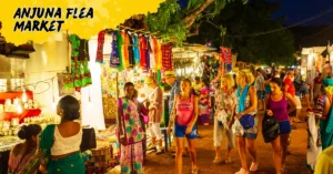 top 10 places to visit in goa with family