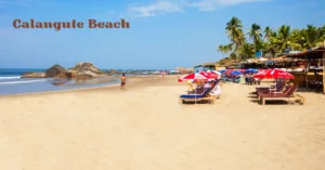 best places to visit in goa with family