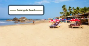 Top Places to Visit in Goa