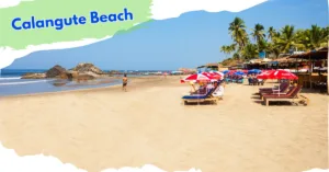 Places to Visit in Goa with Family