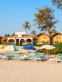 7 Places to Visit in Goa at Night- The Must-See Spots