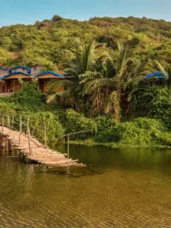 7 Top Places to Visit in Goa: Sun, Sand, and Serenity