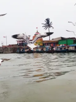Chilika Lake: No. 1 Natural Wonder of Odisha