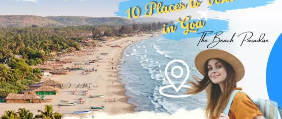 top 10 places to visit in goa