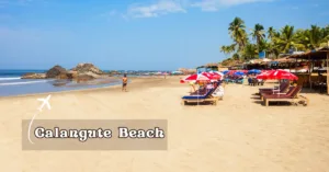 top 10 places to visit in goa