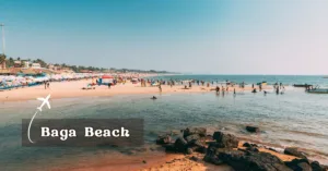 top 10 places to visit in goa