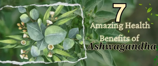 health benefits of ashwagandha