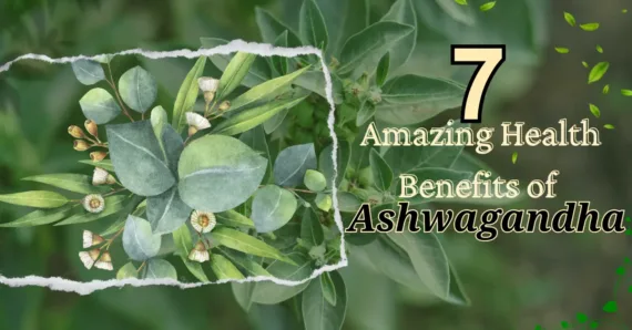 7 Amazing Health Benefits of Ashwagandha