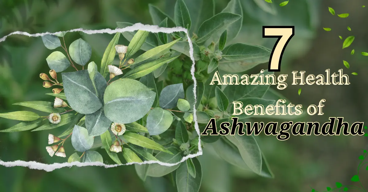  7 Amazing Health Benefits of Ashwagandha