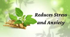 health benefits of ashwagandha