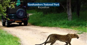 Wildlife And National Parks in India