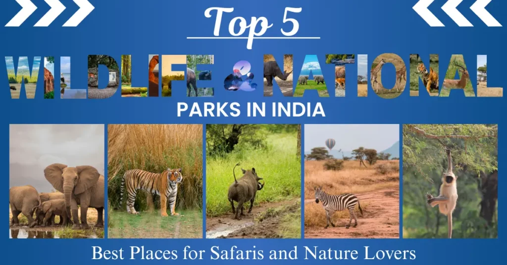 Top 5 Wildlife And National Parks in India: Best Places for Safaris and Nature Lovers