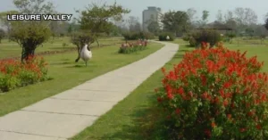 Best Places to Visit in Chandigarh