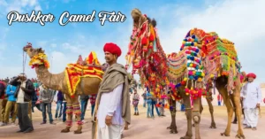 Cultural Festivals And Travel