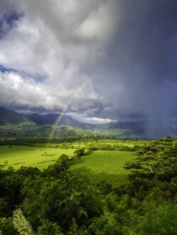 Top 7 Monsoon Getaways for a Rainy Retreat