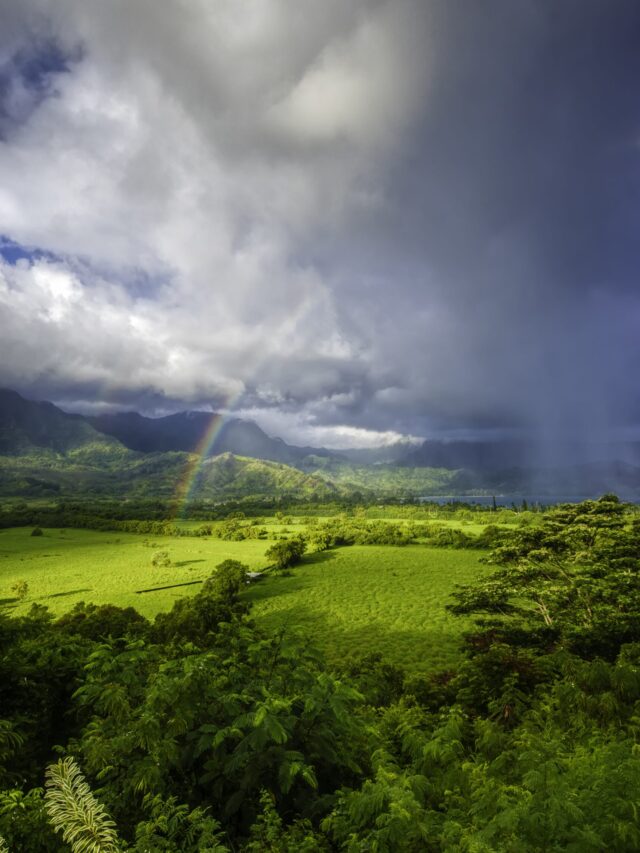 Top 7 Monsoon Getaways for a Rainy Retreat
